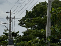 Electric Pole With Power Lines