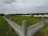 Fenced Plot