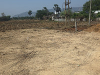 Grand view 3
