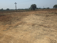 Grand view 4