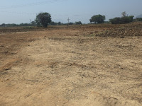 Grand view 5