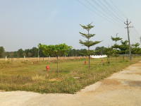 Sai Paadam 12