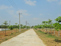 Sai Paadam 14