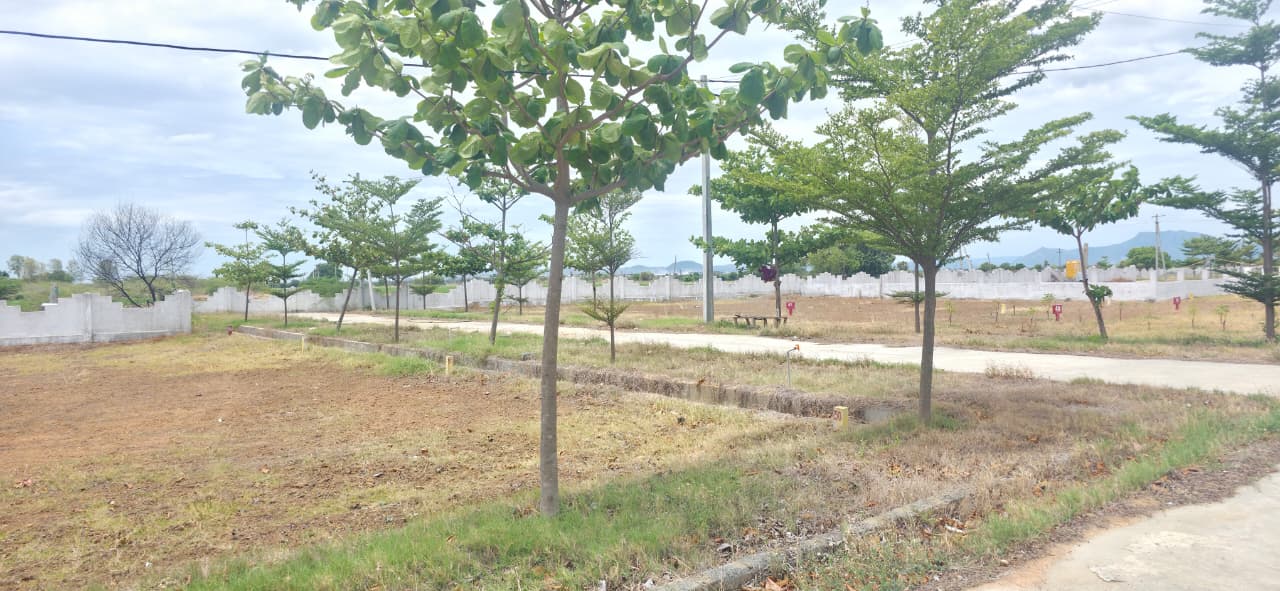 SAI-PAADAM-2-8