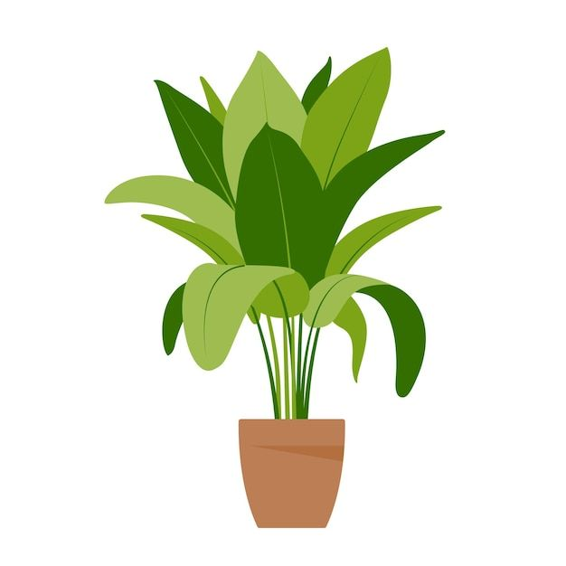 Exotic Greenery